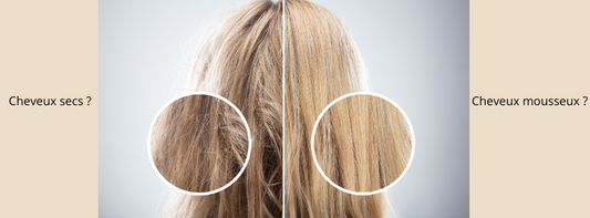 🔎 Cheveux secs ou mousseux : comment les reconnaître et les soigner ? 🔎