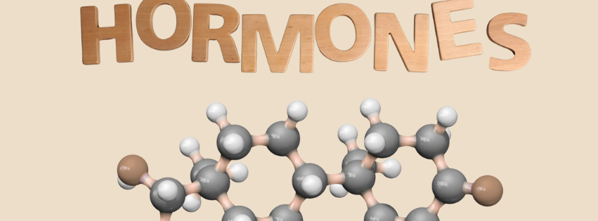 Les perturbateurs endocriniens :  qu'est ce que c'est ?