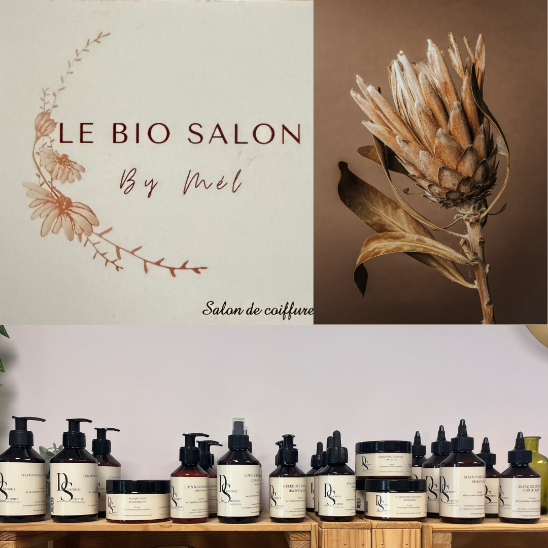 Salon Bio de Vealux le biosalon